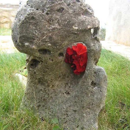 Marina Апартаменты Трогир