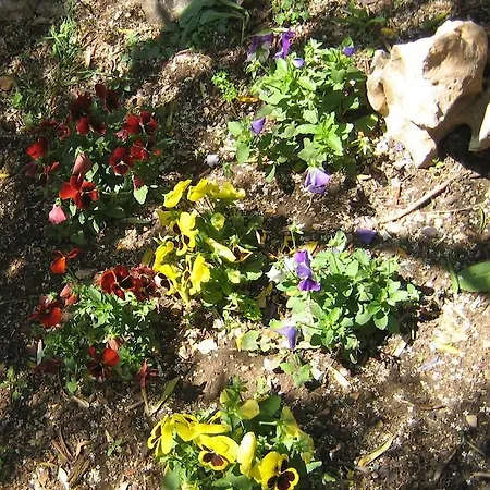 Appartement Marina *