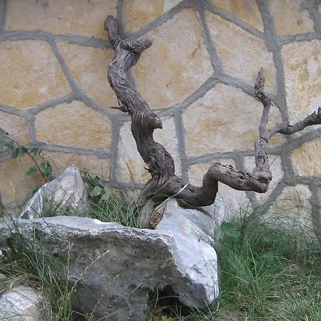 Appartement Marina *