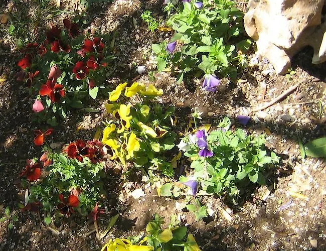 Appartement Marina *