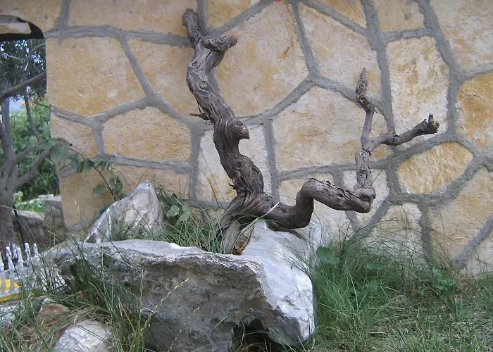 Appartement Marina *